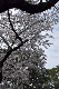 image0165
