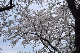 image0167