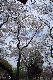 image0171