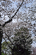 image0172