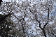 image0173
