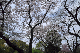 image0174
