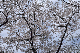 image0175