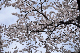 image0176