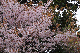 image0179