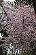 image0180