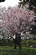 image0181