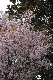 image0183