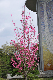 image0185