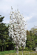 image0186