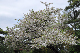 image0189
