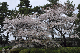 image0190