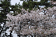 image0191