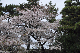 image0192