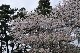 image0193