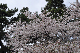 image0194
