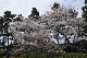 image0195