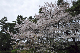image0196