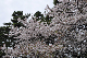 image0197