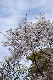 image0200