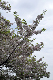 image0201