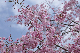 image0214