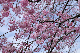 image0215