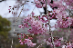 image0216