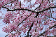 image0217