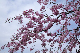 image0219