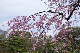 image0220