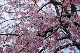 image0221