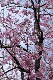 image0222