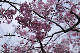 image0223