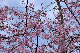image0224