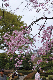 image0227