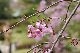 image0230
