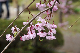 image0231
