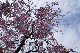image0233