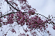 image0234