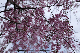 image0235