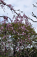 image0236