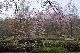 image0237