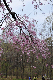 image0238