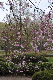image0239