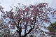 image0241