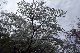 image0242