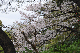 image0244
