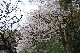 image0245