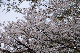 image0246